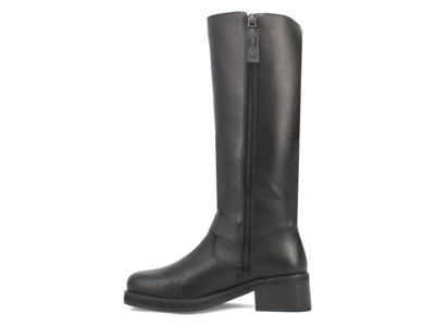 Dingo Wild N' Free - DI206 - Black