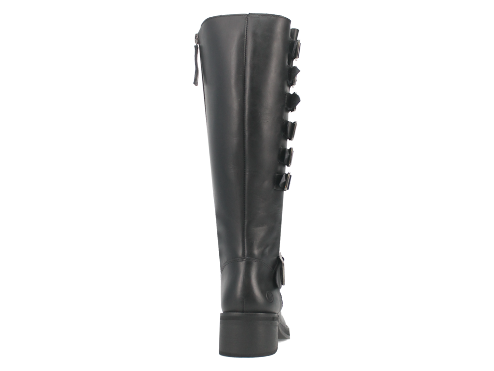 Dingo Wild N' Free - DI206 - Black