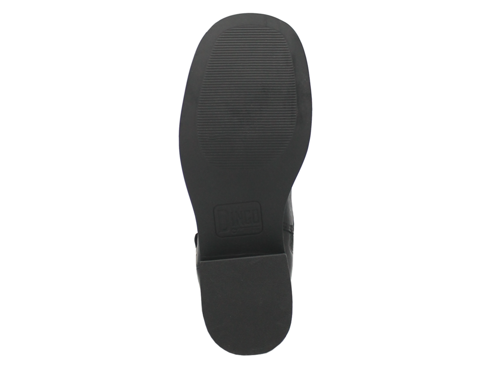 Dingo Wild N' Free - DI206 - Black