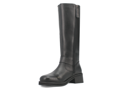 Dingo Wild N' Free - DI206 - Black