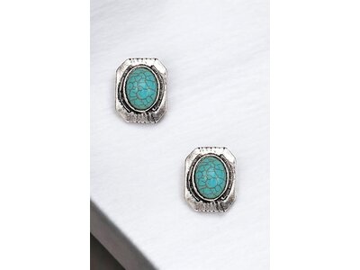 Post Earring- 194885- Silv/Turq