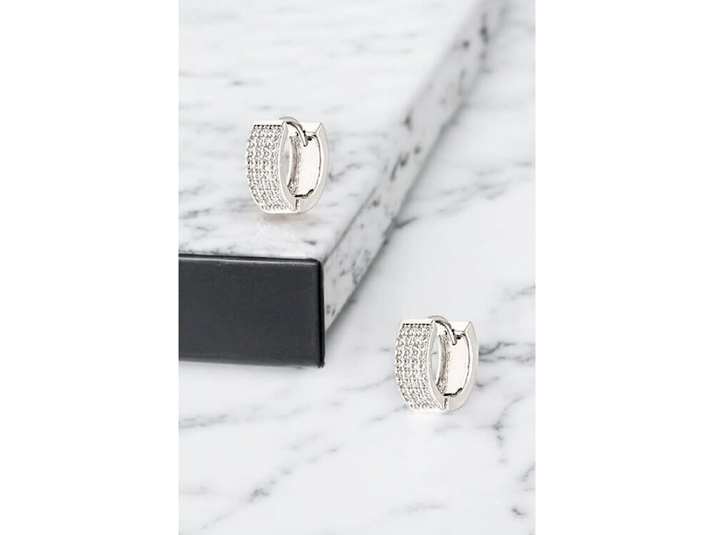 Hoop Earring- Silver- 195389