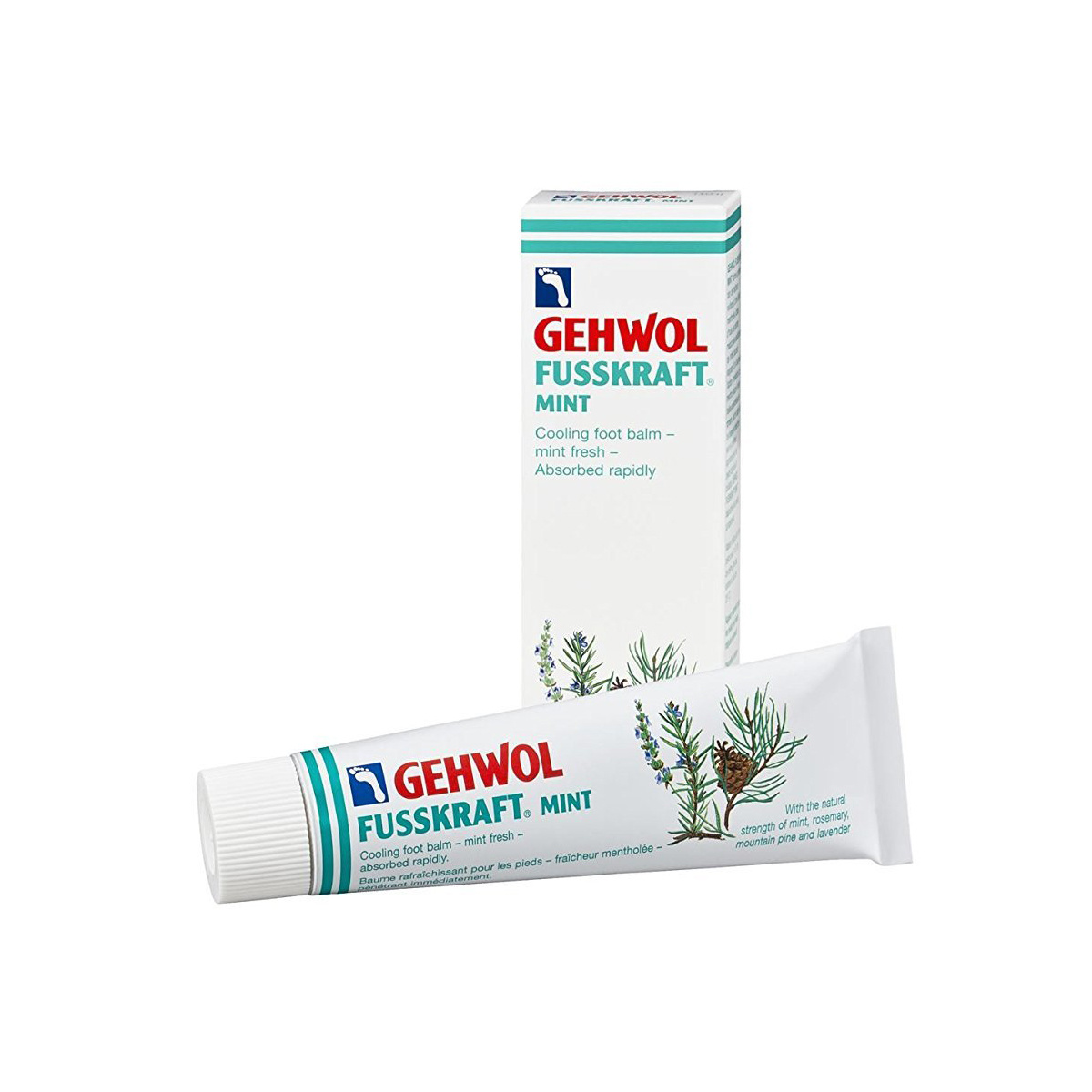 E. Gerlach Gehwol Fusskraft Creme Rafraichissante 75 ml (Menthe)