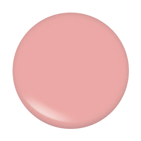 Pinnacle Cosmetics Gloss Nearly Naked (C)