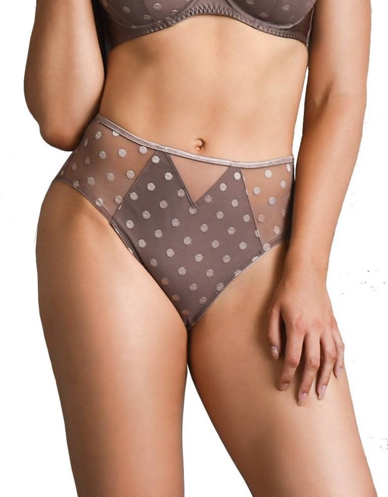 FFY Carmen High brief