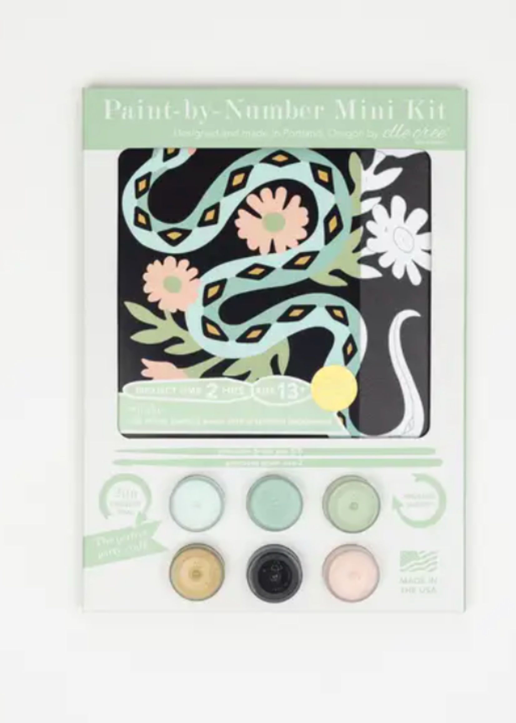 FAIRE MINI PAINT BY NUMBER KIT