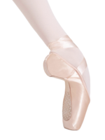 CAPEZIO *CLEARANCE* CAMBRE BROAD POINTE SHOES