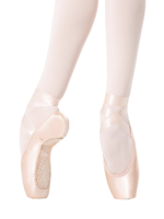 CAPEZIO DONATELLA POINTE SHOE
