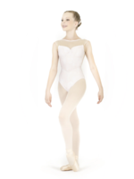 DANSE DE PARIS DELPHINE MESH CAP SLEEVE LEOTARD