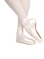 RUSSIAN POINTE *CLEARANCE / FINAL SALE* RUBIN DRAW