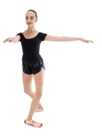 SUPERIOR STRETCH PRODUCTS PIROUETTE SPIN BOARD