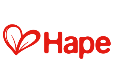 Hape Toys