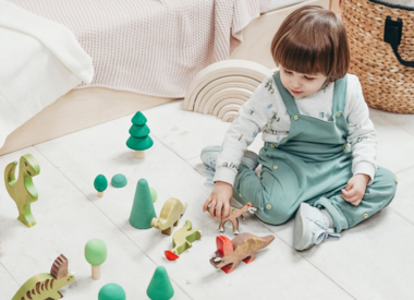Toddler Toys