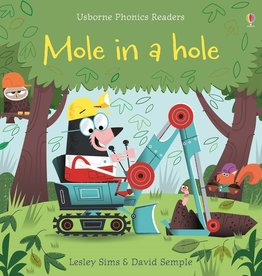 Usborne Usborne Phonics Mole In A Hole