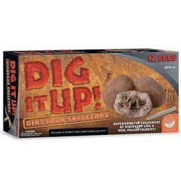 MindWare Dig It Up! Dinosaur Skeletons