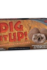 MindWare Dig It Up! Dinosaur Skeletons