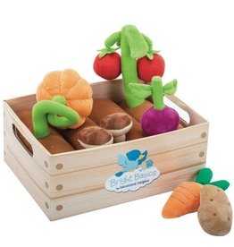 Educational Insights Vegetable Garden