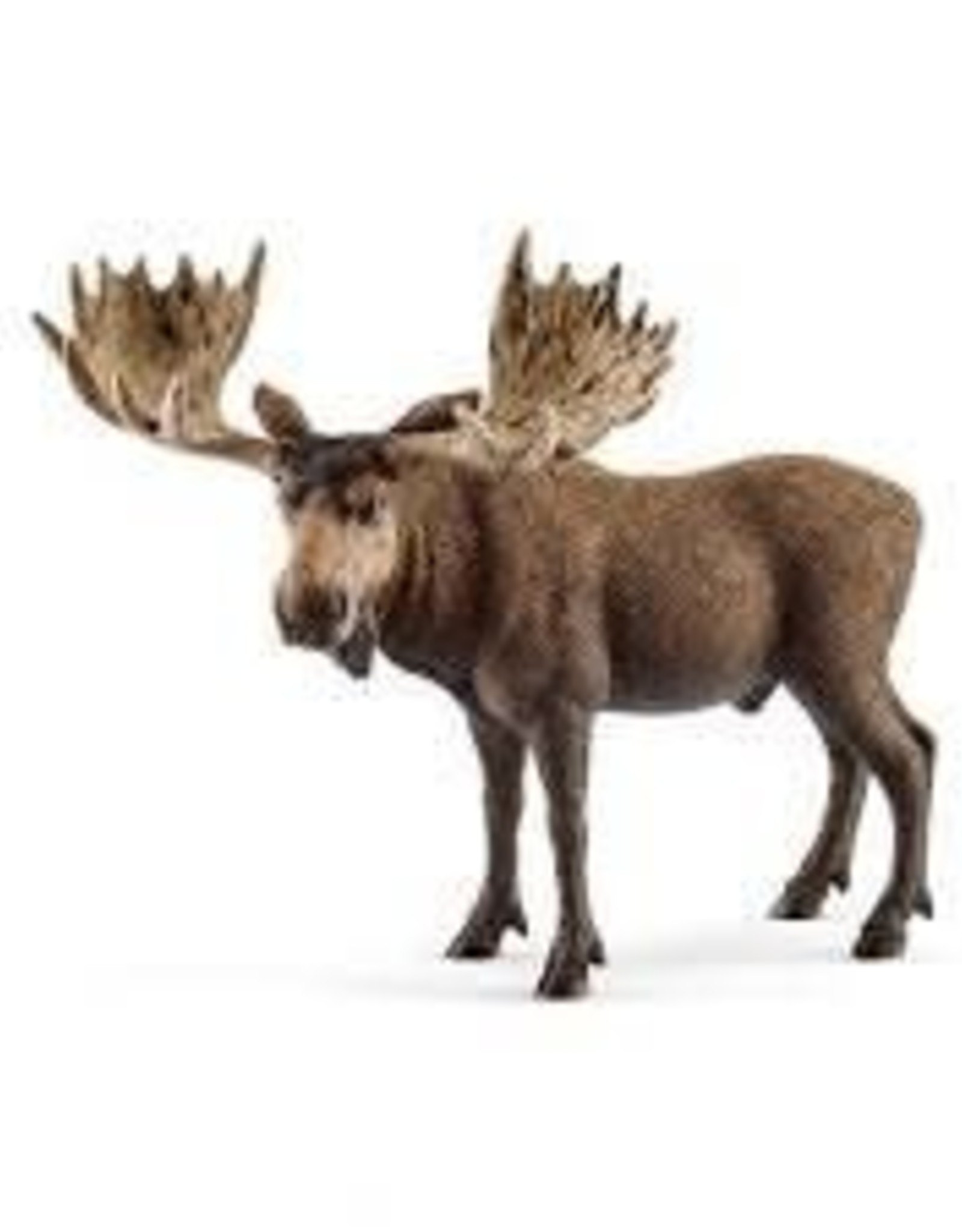 Schleich Schleich Wild Life - Moose Bull