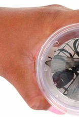Toysmith Magnifying Bug Viewer