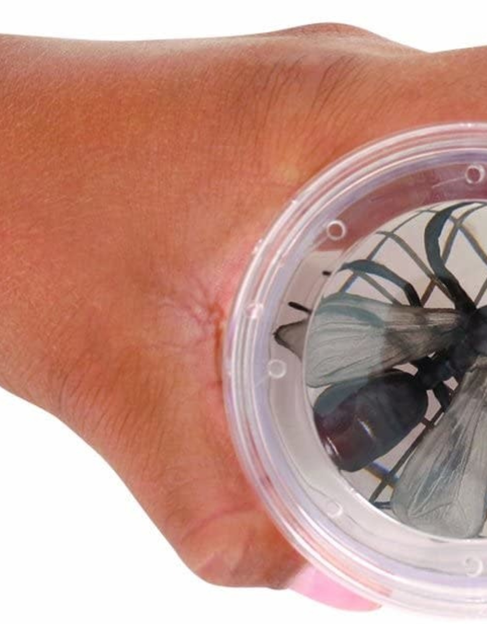 Toysmith Magnifying Bug Viewer