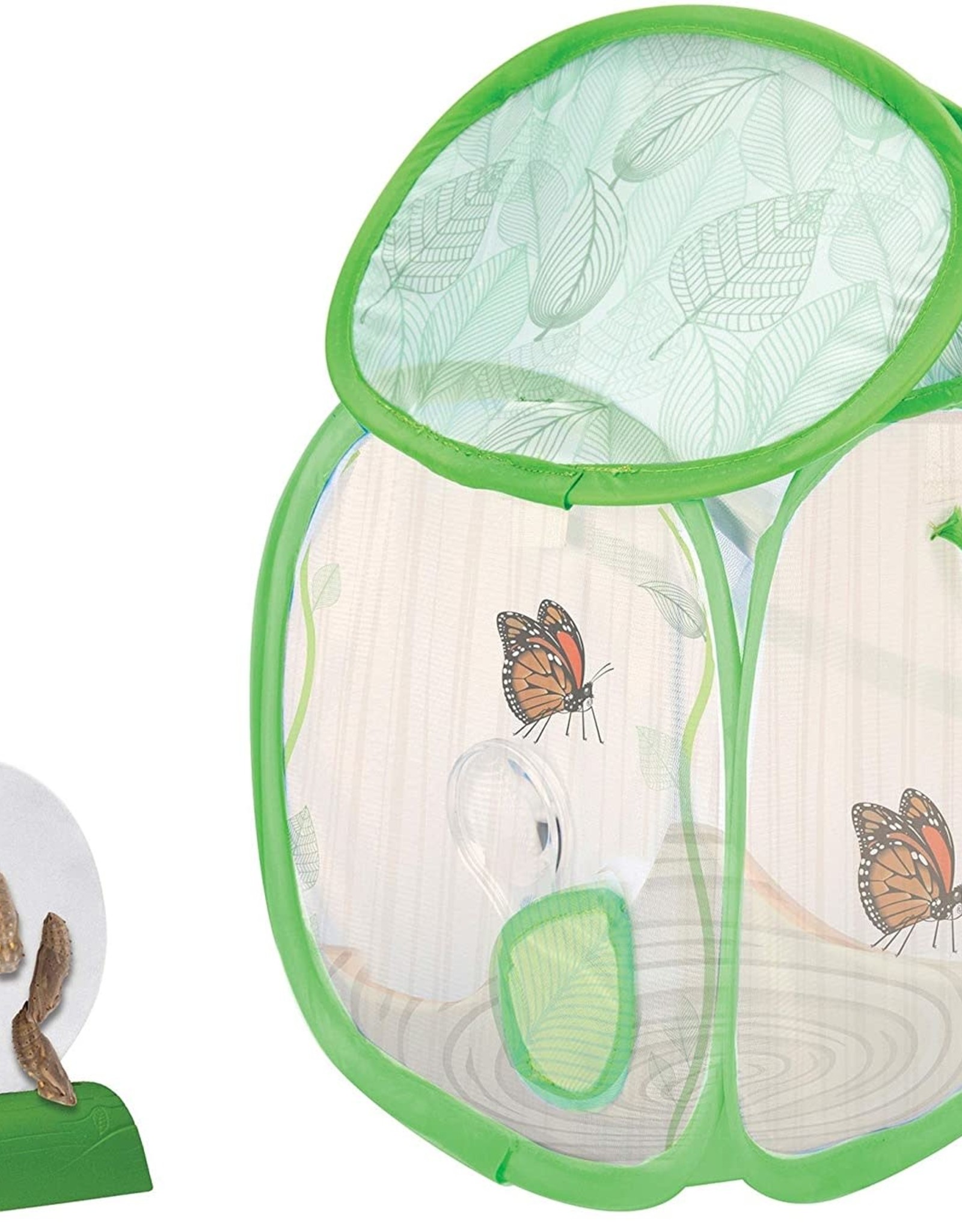 Educational Insights Geosafari Jr. Butterfly Bungalow