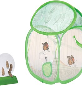 Educational Insights Geosafari Jr. Butterfly Bungalow