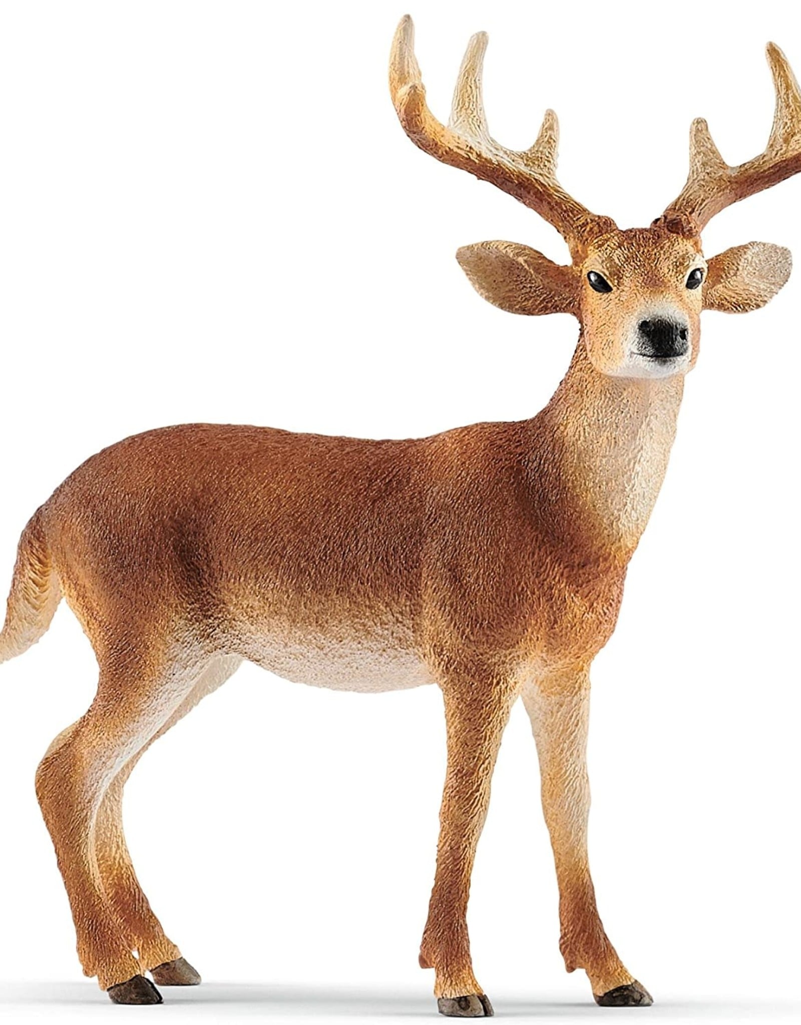 Schleich Schleich White Tailed Buck