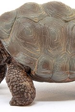 Schleich Schleich Giant Tortoise