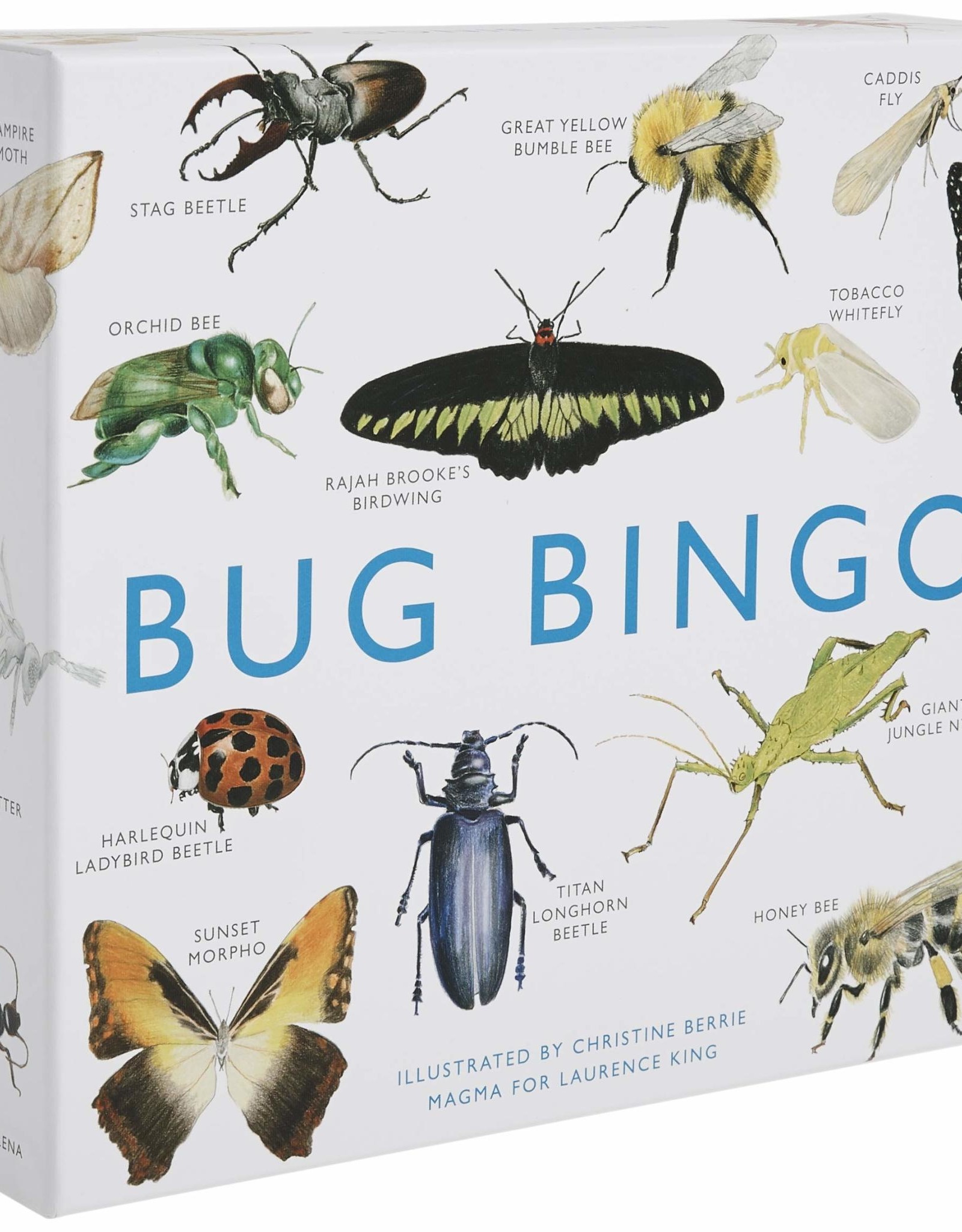Bug Bingo