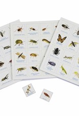 Bug Bingo