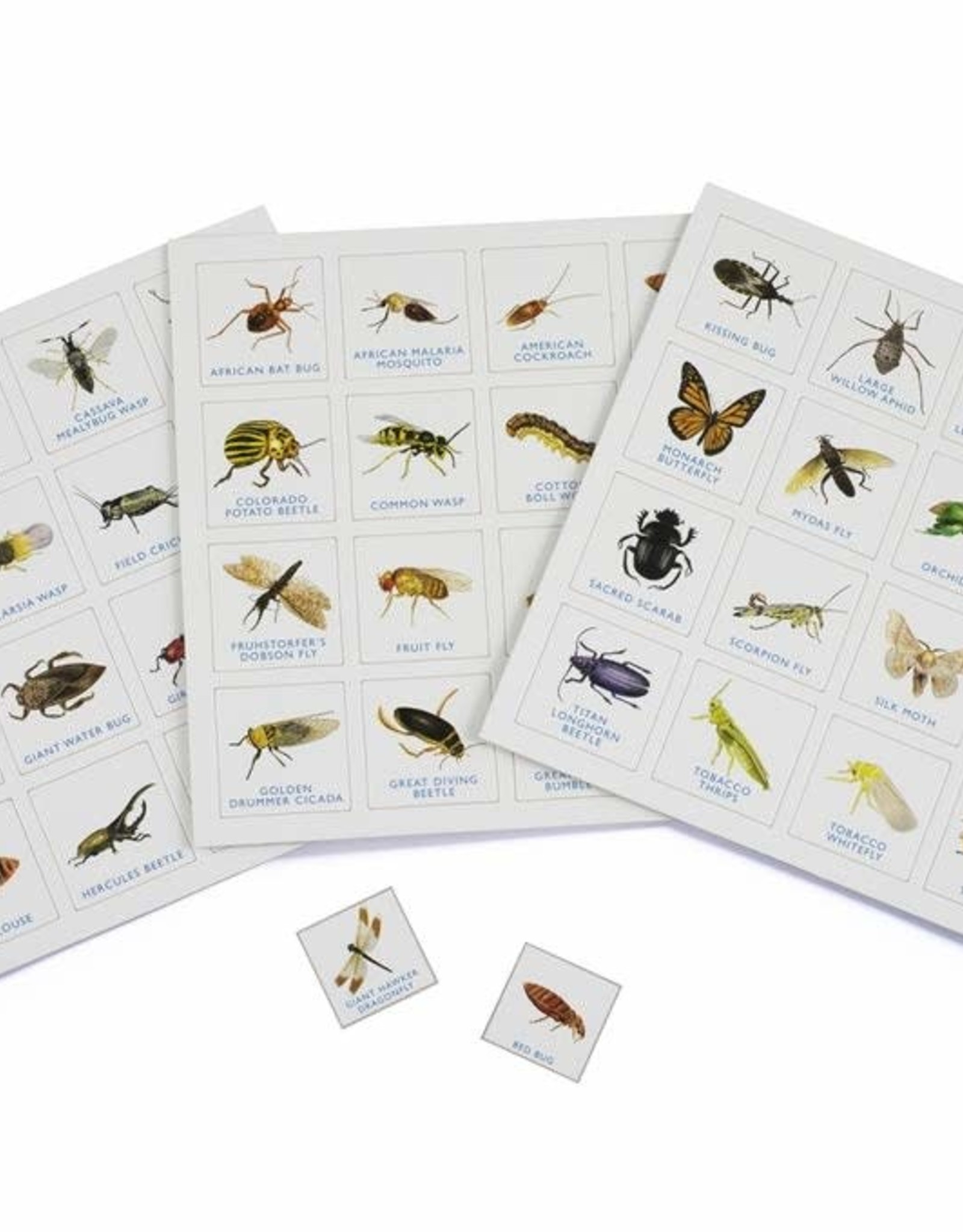 Bug Bingo