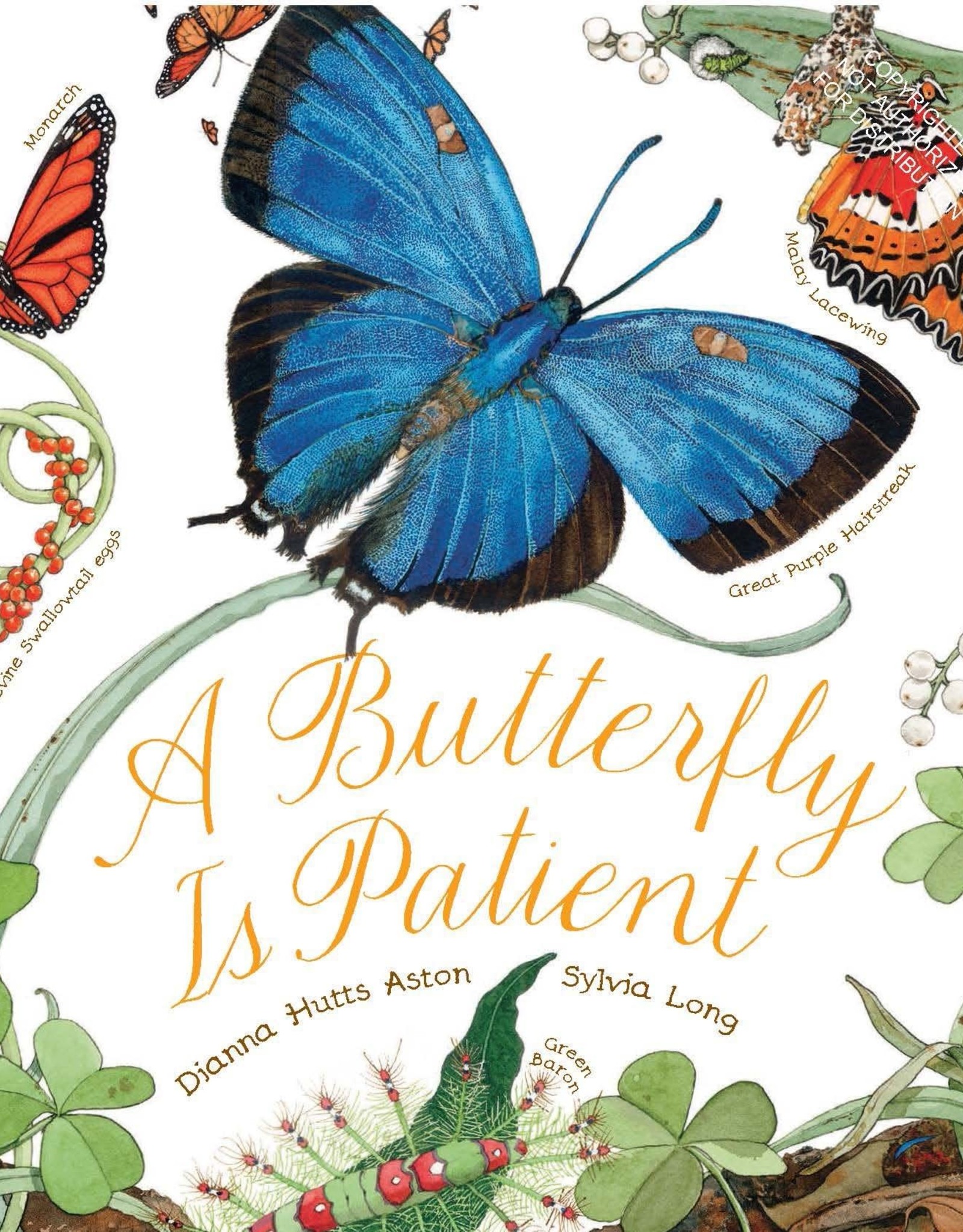 A Butterfly is Patient