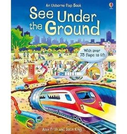 Usborne See Inside Under the Ground