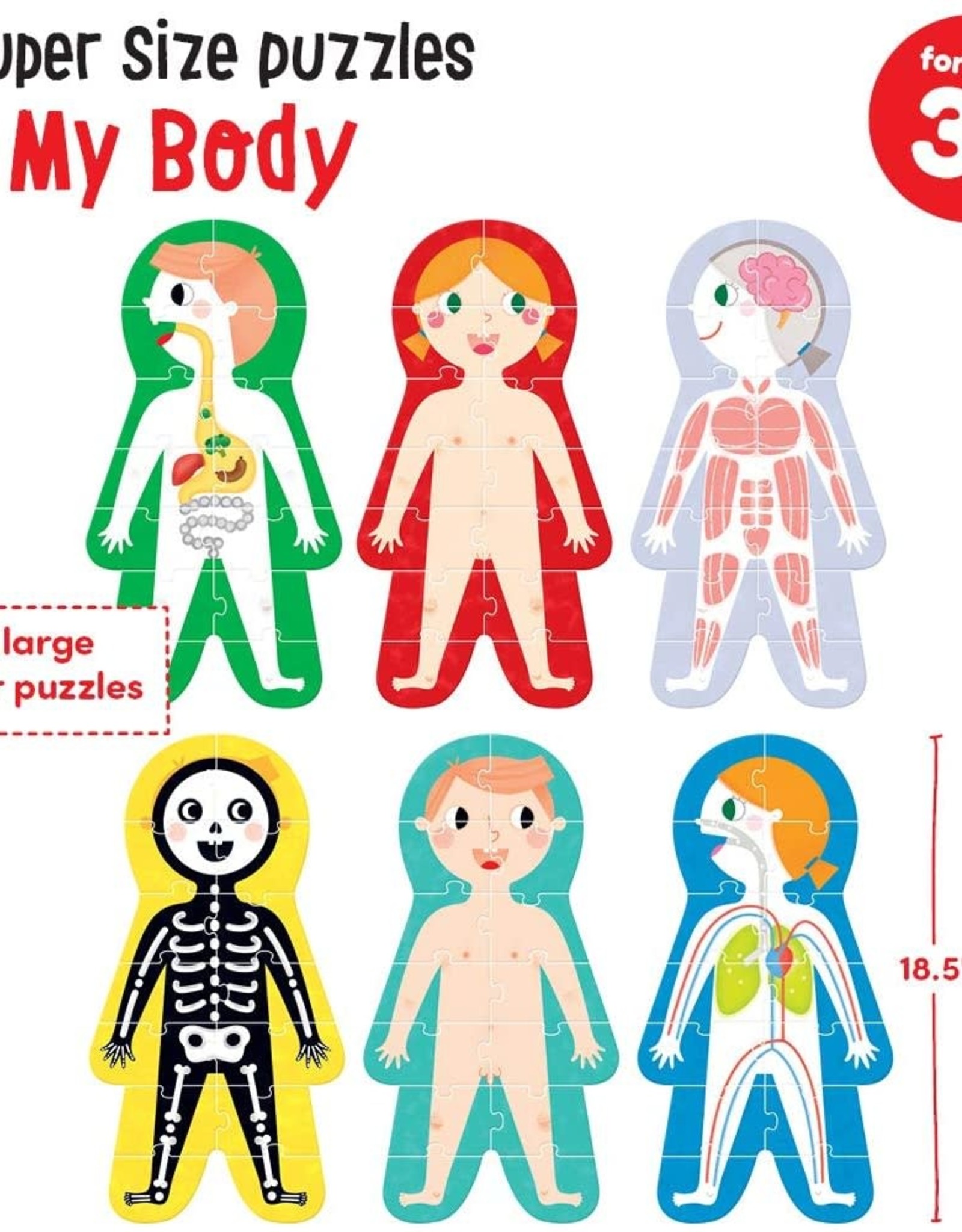 Banana Panda Banana Panda My Body Suuuper Size Puzzle