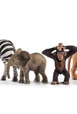 Schleich Schleich Wild Life Starter Set