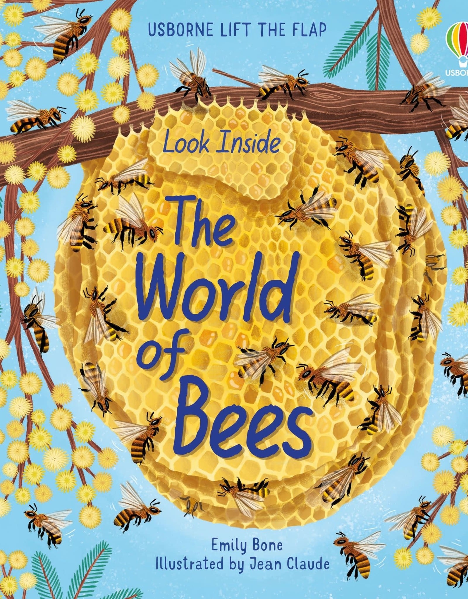 Usborne Look Inside the World of Bees