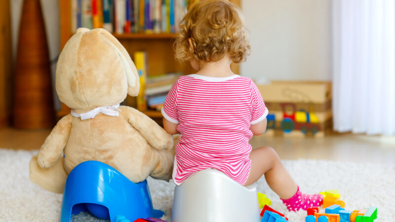 No More Diapers! Potty Training Tips and Books for Potty Training