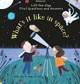 What's it Like in Space?