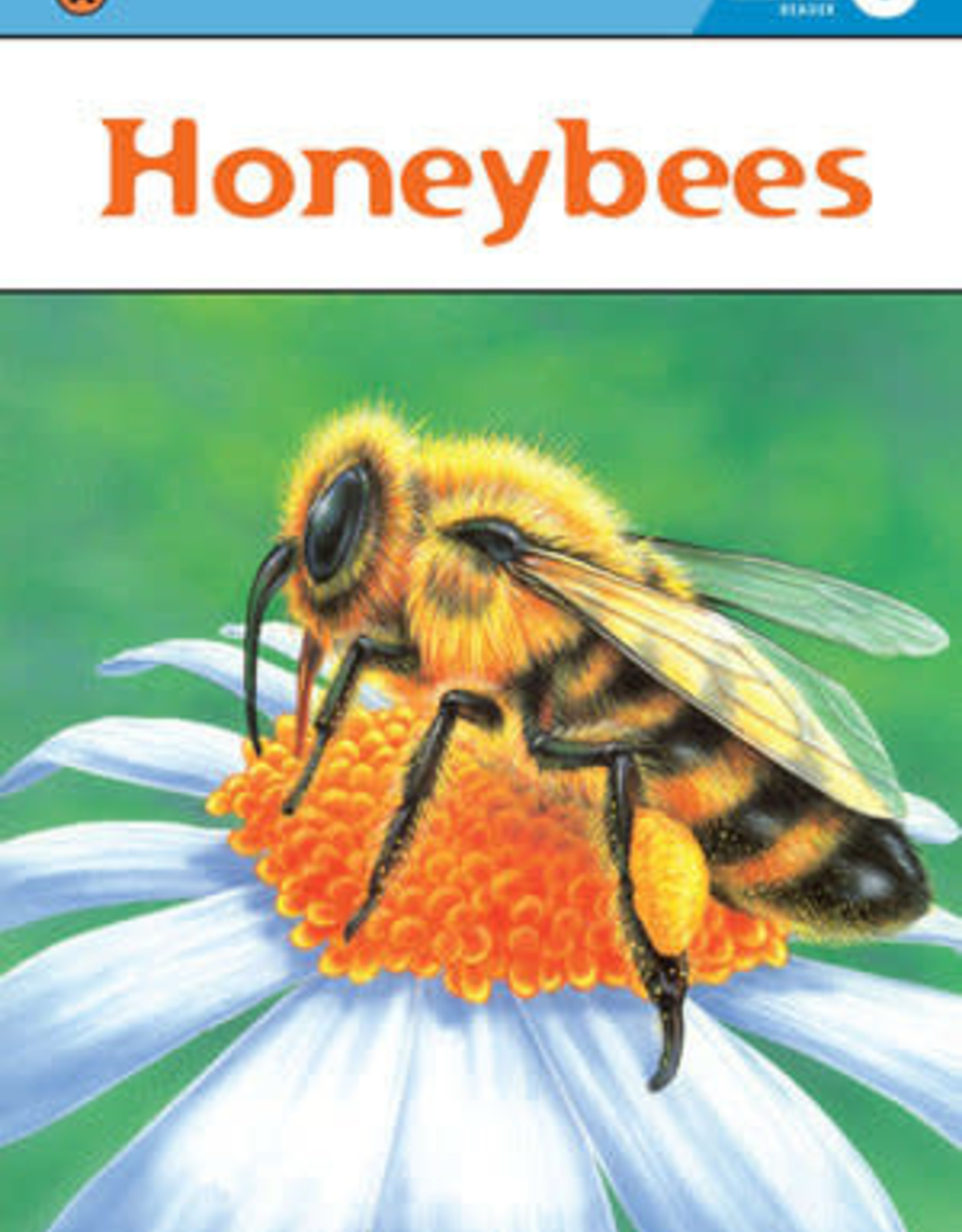 Step Into Reading 3: Honeybees