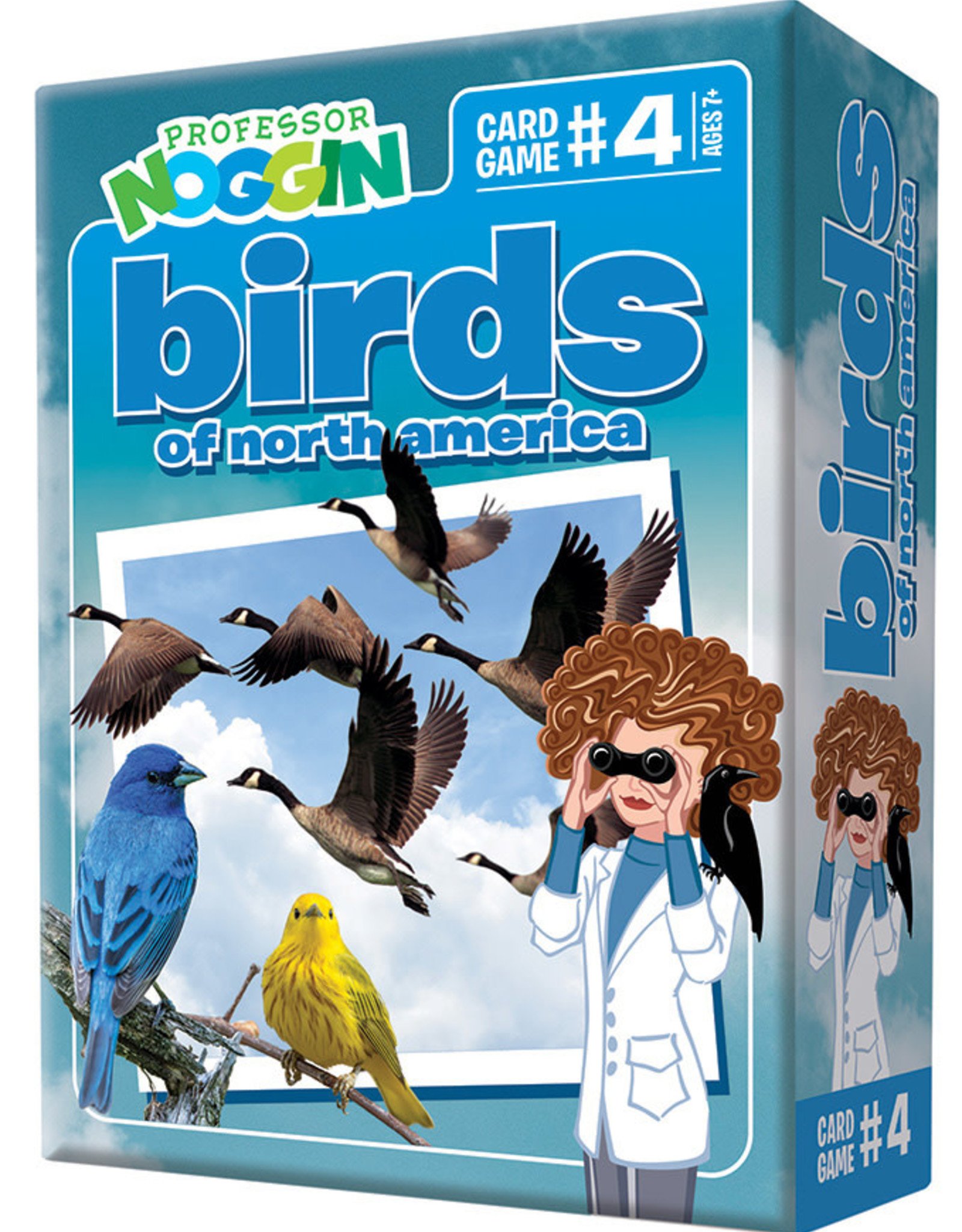 Outset Media Professor Noggin - Birds of North America