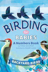 Birding for Babies: Backyard Birds