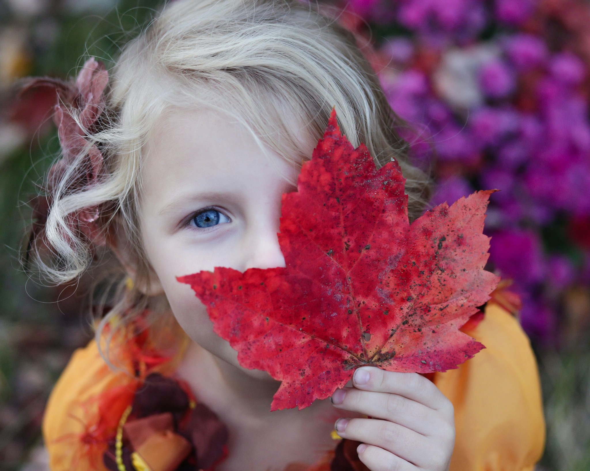 12 Fun and Easy Fall Activities for Kids