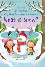 Usborne Lift-the-Flap Very First Questions And Answers: What Is Snow?