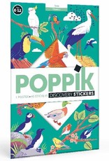 Poppik Discovery Poster Birds