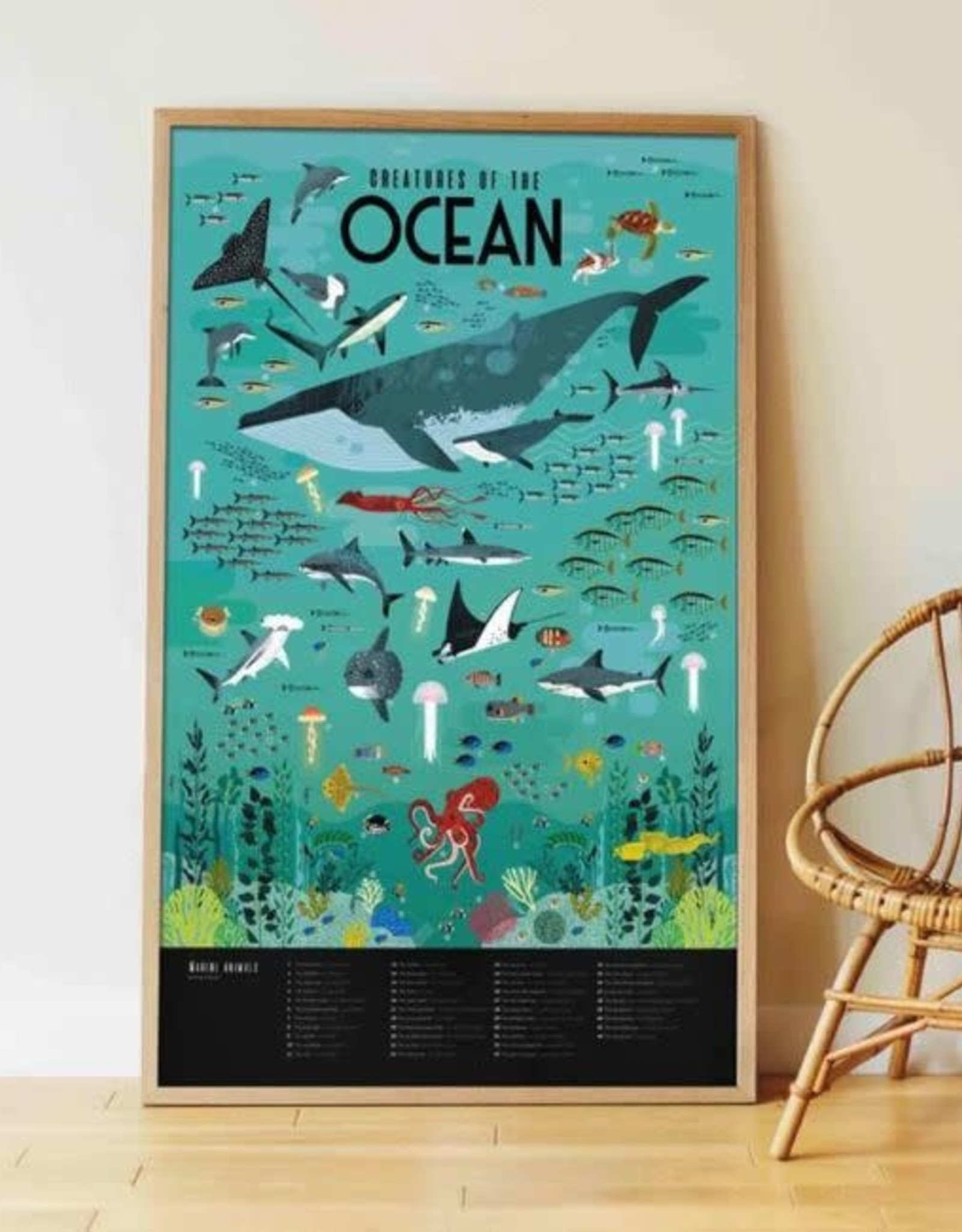 Poppik Poppik Discovery Poster Oceans