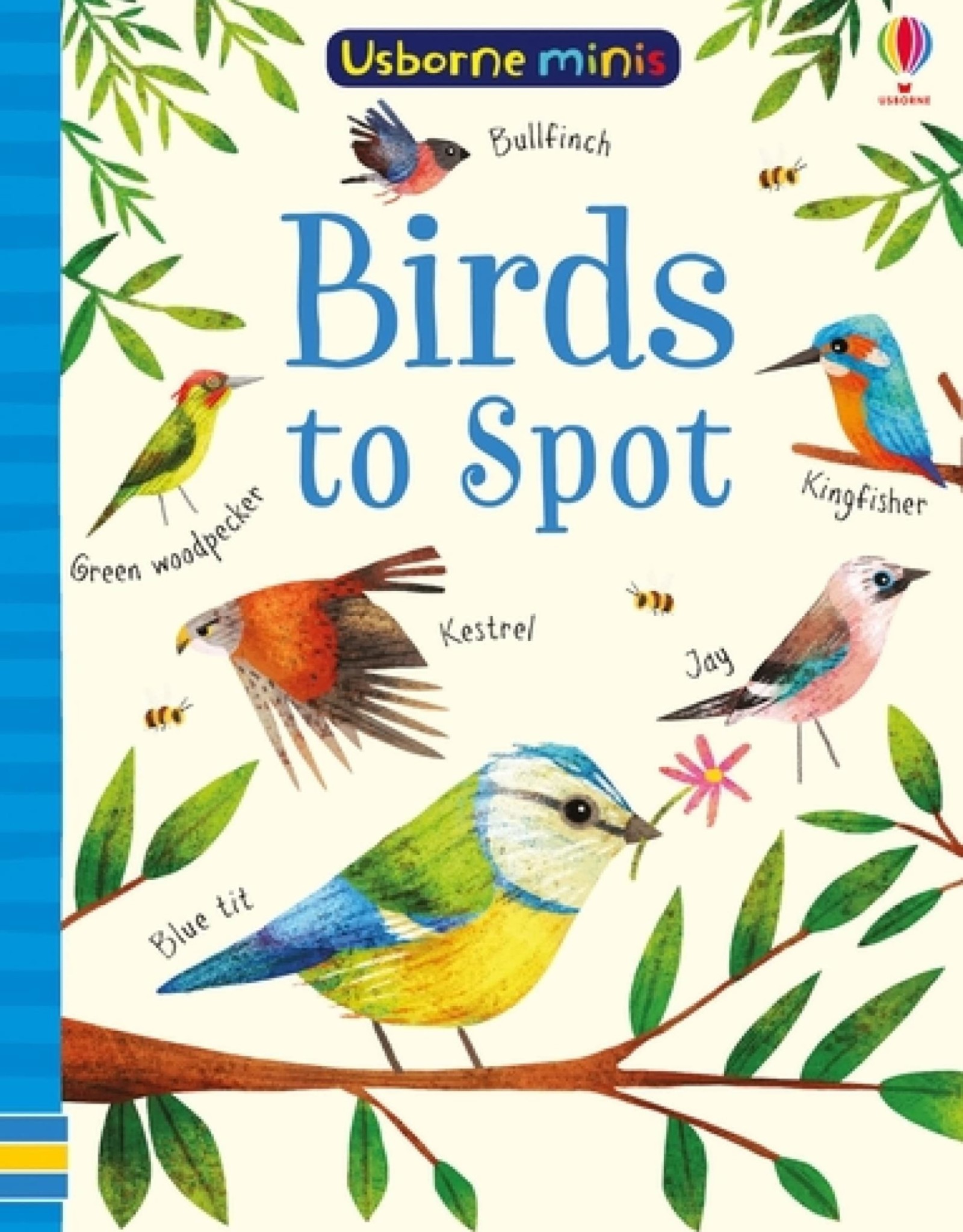 Usborne Birds to Spot - Mini Book