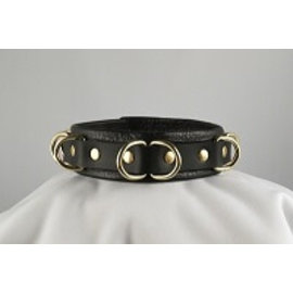 aslan vancouver Aslan Black Panther Collar