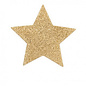Gold Glitter Star Pasties