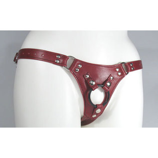 aslan vancouver Aslan Cherry Jaguar Harness