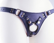 harnesses & chastity